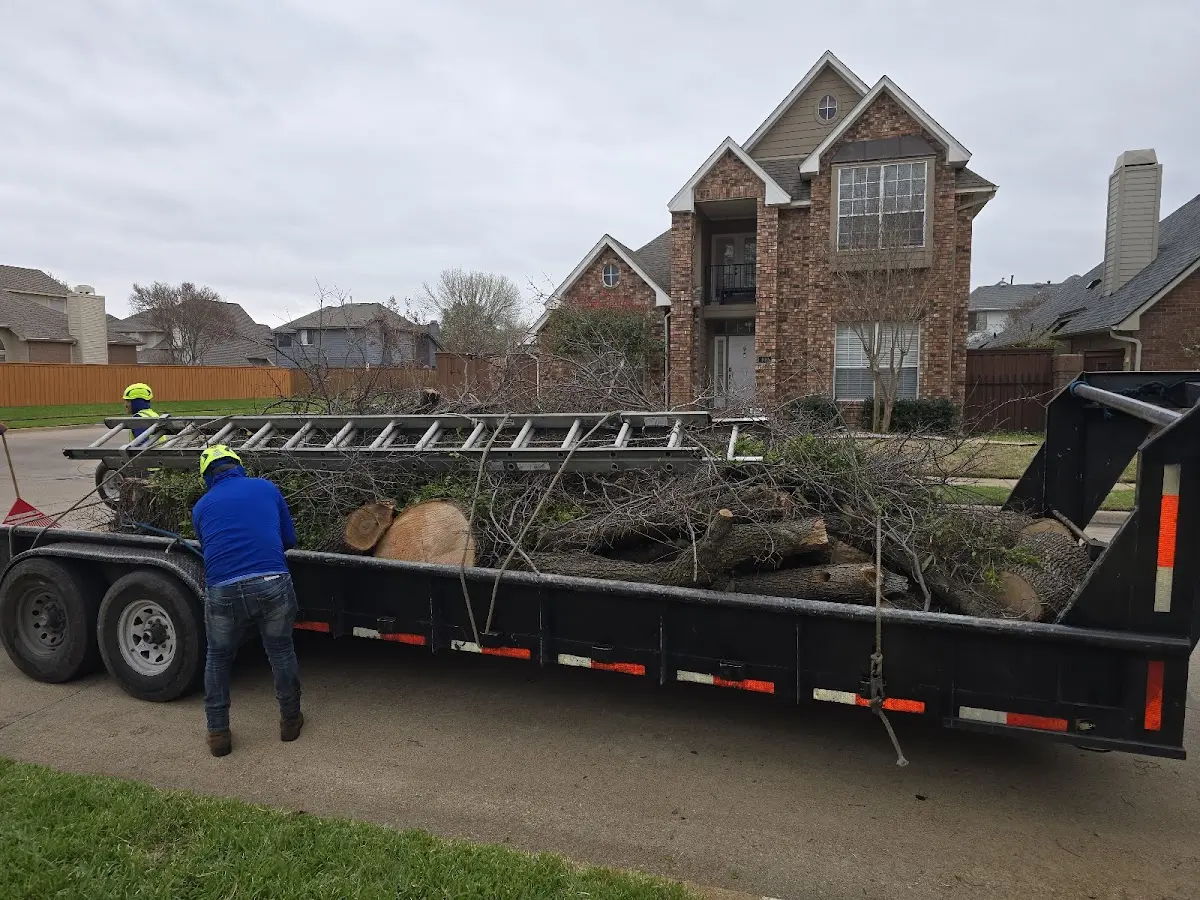 Expert Deadwooding with proper safety equipment in La Porte